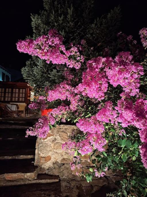 Panthea Cottage Stavroúpolis Eksteriør bilde
